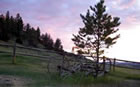 View of Sky