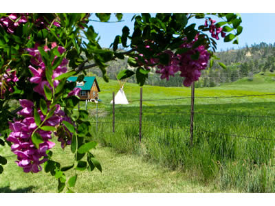 Eagle Cliff Lodging Gatehouse