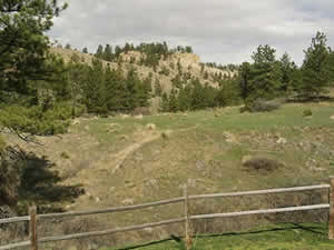 Cliff at Eaglecliff Lodging