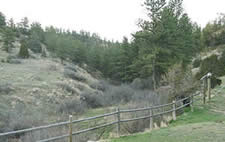 Eaglecliff Scenery