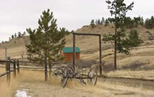 Eaglecliff Scenery